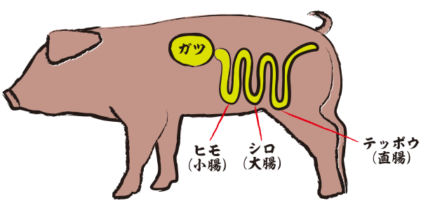 豚の部位
