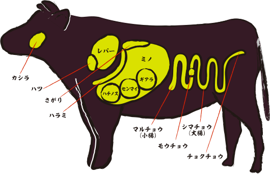 牛の部位